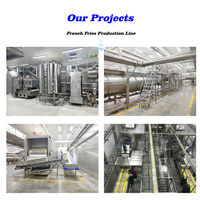 Ligne de production de frites entièrement automatique Sensitar 1500KG/H pour les usines de transformation alimentaire à grande échelle