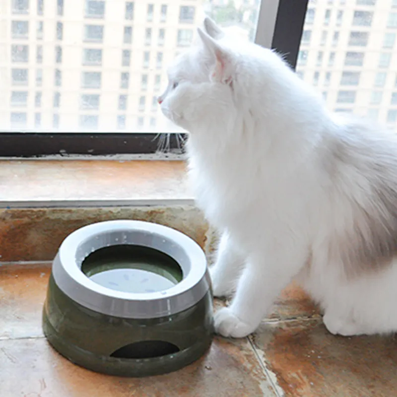 Mangkuk minum hewan peliharaan portabel, mangkuk air minum perjalanan hewan peliharaan berjalan minum anjing untuk pemberi makan anjing kucing