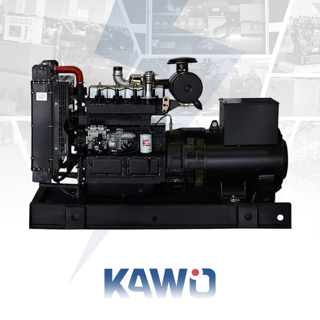 Silent Portable 50/60Hz Diesel Generator Set Auto Remote Start 20A Current 12V/220V 1500rpm 3 Phase Single AC ATS Leroy Sumer-DC