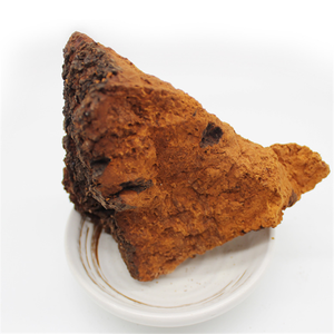 เห็ดชากาเบิร์ชแห้งทั้งตัว สมุนไพรจีน ไบหัวหรง สำหรับชงชาสมุนไพร - Product Image 5