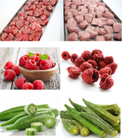 50KG 100KG Petit Multifonctionnel Fruits Céleri Lyophilisateur
