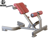 Vente en gros de chaise romaine de haute qualité banc de gymnastique d'entraînement machine d'extension de dossier de chaise de banc romain abdominal
