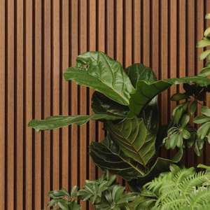 Revestimiento de Pared Decorativo de WPC, Panel de Pared Exterior Impermeable de Madera y Plástico Compuesto - Product Image 5