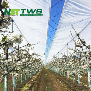 Nhà Máy Giá Cherry Orchard Trong Suốt HDPE Bạt Không Thấm Nước Dệt Nhuộm Mô Hình Với Grommets - Product Image 6
