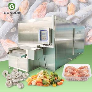Lst Small Tunnel Bun Plate Freeze Vegetable Fish Cooling Frozen Machinei Iqf Blast Freezer for Water 100kg - Product Image 1