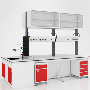 Fabrieksuitverkoop chemische laboratoriummeubels, kasten, roestvrij staal, schoolkunstwerktuigkasten, chemielaboratorium werktafel - Product Image 3