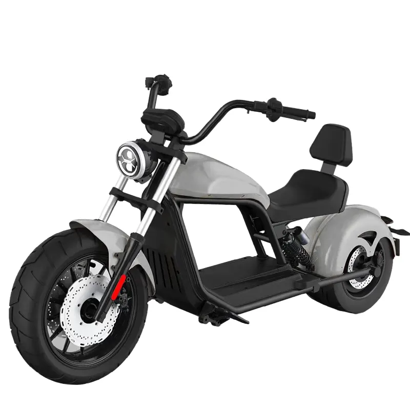 Pengiriman memiliki kelebihan 2000w 60v 45Ah 12 inci roda lemak Citycoco skuter listrik dewasa dengan eec dan gudang luar negeri