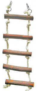 Giocattolo Ecologico e Sostenibile per l'Addestramento degli Uccelli, Scala-Ponte in Legno con Corda Commestibile in Acciaio Inox, Giocattolo per Pappagalli Piccoli/Medi - Product Image 5