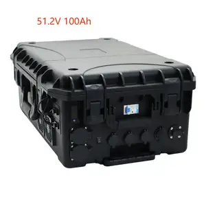 应用电站电池Lifepo4 55.2 V 100Ah 5Kwh 3000W 48v锂离子电池组便携式电源家用储能