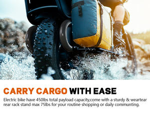 Famille 48v 750w frein à disque vélo électrique  enfants avant près de la boîte famille longue queue électrique <span class=keywords><strong>Cargo</strong></span> Ebike - Product Image 6