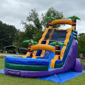 Tobogán acuático inflable comercial de una sola vía <span class=keywords><strong>con</strong></span> <span class=keywords><strong>piscina</strong></span> para diversión acuática - Product Image 2