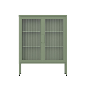 ארון תצוגה ממתכת איכותי לסלון עם דלת זכוכית - Product Image 1