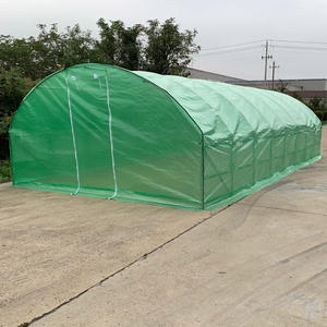 Serra a Tunnel Monocampata 10x4x2m per Agricoltura - Product Image 1