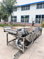 Commerciële Kleine Voedsel Lommerrijke Fruit Schone Wasmachine Luchtbel Groente Wasmachine