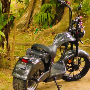 Directo de Fábrica, E-Chopper de 2000W 3000W con Certificación EEC, Elektroroller de 4000W, 75KM/H, Stock en la UE, Citycoco - Product Image 5