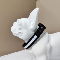 Collier de chien en nylon réglable et respirant rembourré en mousse personnalisé avec breloques et lumière LED