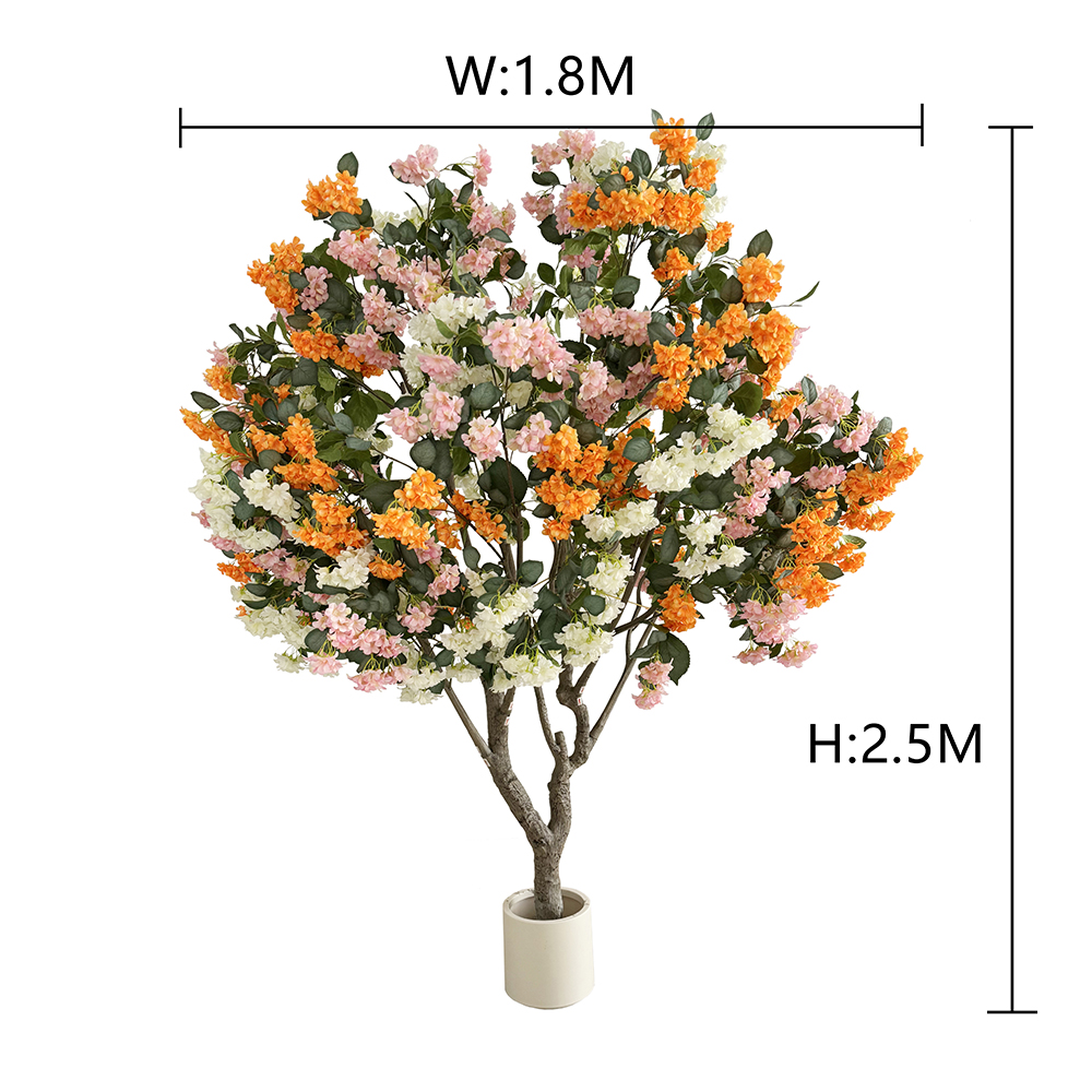 250cm