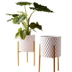 Maceta Moderna con Diseño Hexagonal Negro y Base de Metal Dorado, Macetas de Interior de Diseño Minimalista para Decoración del Hogar - Product Image 3