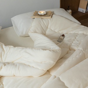 Japanese Style Cotton Soybean Fiber Quilt Spring Autumn Use Skin Friendly Home <b>Bedding</b> 1 Jin Or Less Weight - Product Image 2