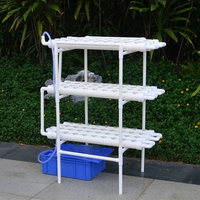 Système de culture hydroponique Fuma Factory Supply pour plantes d'intérieur avec pompe pour usage domestique, jardin vertical