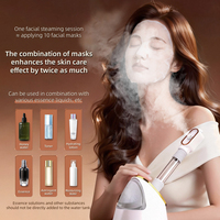 Vaporisateur facial électrique nano-ionique pour salon de beauté et usage domestique, brume chaude, pulvérisation d'huiles essentielles, tube long réglable