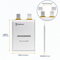 Batterie solide Battivus 60Ah 3.87V, décharge 2C, 516g, seulement 450Wh/kg, pour drone de cartographie VTOL à longue autonomie et charge lourde