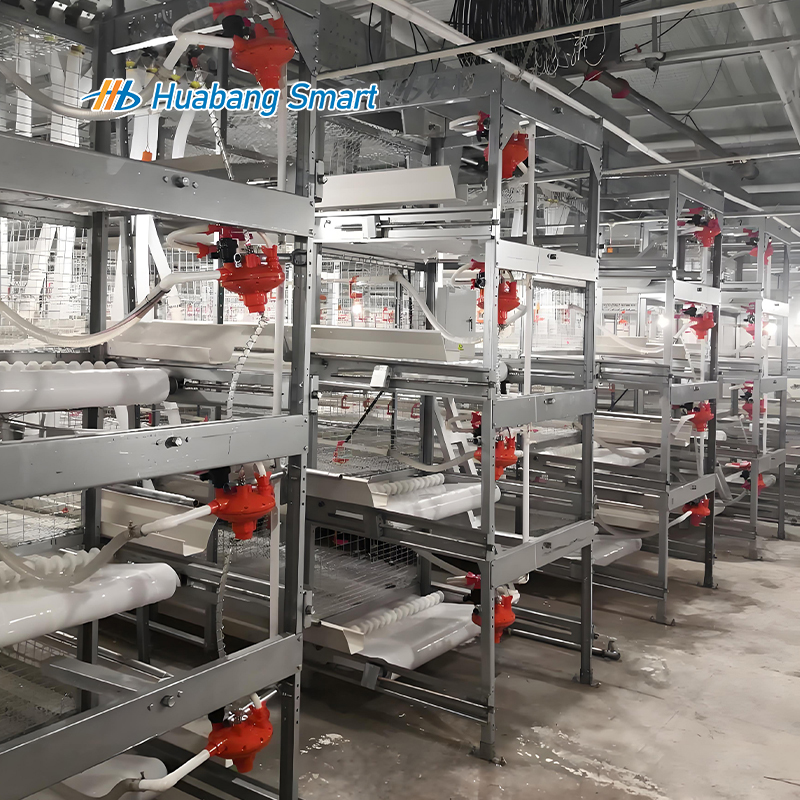 cage for broiler chickens