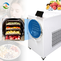 Lyophilisateur alimentaire à haute efficacité de qualité industrielle pour le traitement des poudres de café et de soupe