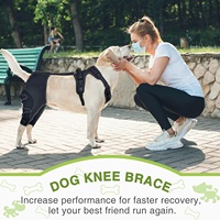 Attelle de genou pour chien, réglable, pour activités extérieures, avec sangle de soutien et protection de jambe pour la récupération