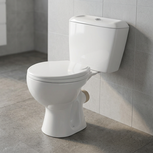 Inodoro de cerámica Morvi de dos piezas, montado en el suelo, con salida al suelo en forma de S, juego completo para baño. - Product Image 4