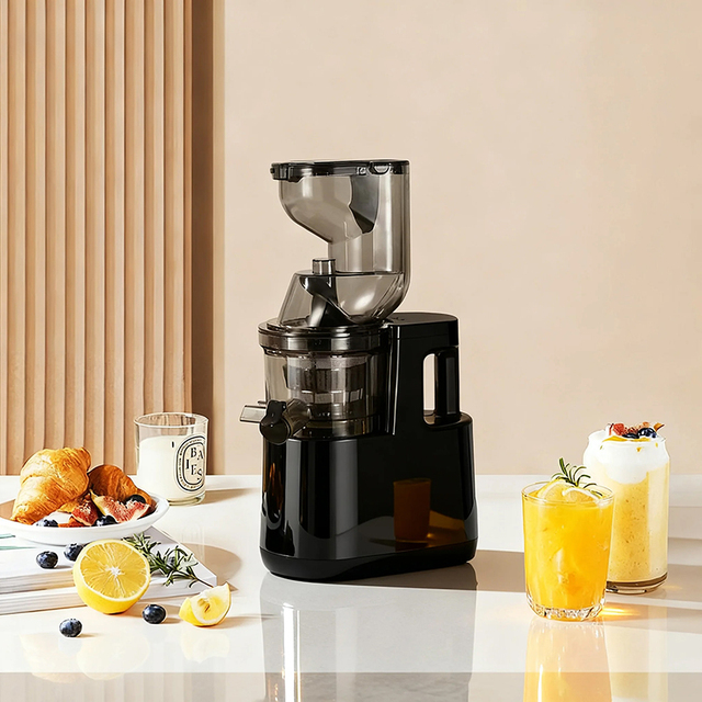 High Quality 500W Masticating Juicer, Cold Press Juicer for Whole Vegetables and Fruits,Easy to Clean High Juice Yield