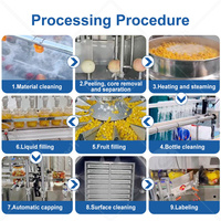 Complete ORME fruitconserven productielijn met was-, schil-, ontpitten- en snijmachine