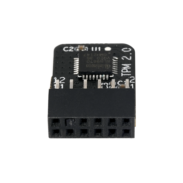 BL-TPM-M-SPI Encrypted Security TPM2.0 12pin 12-1pin MSI SPI TPM 2.0 Module Trusted Platform Module Tpm 2.0 for MSI Motherboard
