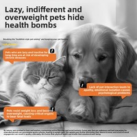 Distributeur manuel de nourriture pour animaux de compagnie en plastique à motif de dessin animé, lanceur interactif anti-ennui pour animaux de compagnie, jouet pour chat et chien