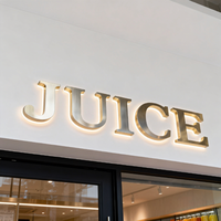 Enseigne lumineuse en acier inoxydable, lettre murale rétroéclairée par LED, logo personnalisé illuminé pour vitrine, bureau, hall d'entrée