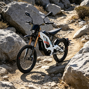 Bicicleta Eléctrica Urbana de Alta Potencia de 10kW 2026 Light L1e 3C, Velocidad Máxima de 45 km/h Potencia Aumentada, Rendimiento de Aceleración Mejorado 0-30 - Product Image 4