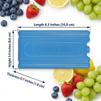 World-bio Chaîne du froid : Blocs de glace et briques de glace en HDPE, Boîtes repas isothermes à prix abordable, Packs de glace premium