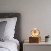 Lampe décorative premium en forme de boule de cristal avec fleur de pissenlit préservée, veilleuse à commande tactile, base en bois, alimentation USB, idéale pour un cadeau