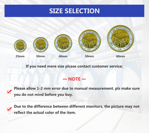 Pièce commémorative Ange Gardien et Guerrier Courageux - Jeton Métallique Porte-Bonheur Coloré pour Protection et Courage - Product Image 6