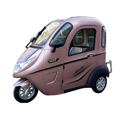 Three Wheels Enclosed Motorcycle Motorized Tricycle Cargo For Adult