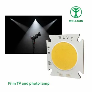 High Quality 3200K 5600K 300W 30mm 39-41V For Professional Photography Equipment Led Cob Chip