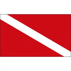 Оптовая продажа высокое качество полиэстер 3x5 футов шелкография Дайвинг флаг