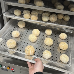 Congélateur à congélation rapide haute performance / Congélateur rapide / Congélateur à congélation rapide pour poulet - Product Image 5