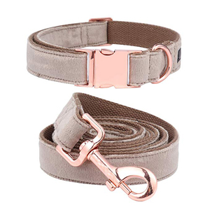 Venta caliente colorido suave de terciopelo perro Correa y <span class=keywords><strong>Collar</strong></span> con correas de algodón - Product Image 4