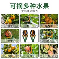 Plukhulpmiddel Fruitplukhulpmiddel Telescopische stok Klauw voor grote hoogtes Fruit Fruit Perzik Drieklauwplukkers Persimmon Peer Fruit