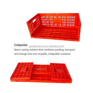 Contenitore per Uova Pieghevole in Plastica YYC, Gabbia per Trasporto Uova di Gallina - Product Image 5