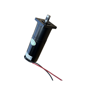 Motor Planetario de CC de Alta Velocidad 55W 27V con Imán Permanente, 3000 RPM, Bajo Ruido, IP55, Alto Torque para Aplicaciones en Barcos y Ventiladores - Product Image 1