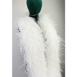 Plumes d'autruche en vrac de 1 à 30 plis, teintes de différentes couleurs, Boa, plumes Qstrich moelleuses pour mariage, artisanat, costumes de scène - Product Image 5
