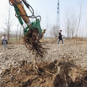 Extracteur d'arbre hydraulique pour l'élimination des racines Meilleur extracteur de <span class=keywords><strong>souche</strong></span> d'arbre d'excavatrice - Product Image 6