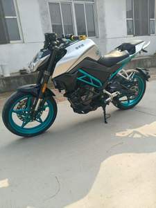 La moto <span class=keywords><strong>sportive</strong></span> classique Fengchun NK250 est idéale pour les trajets urbains et les courts voyages en moto. - Product Image 5